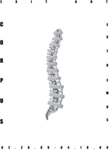 corpus_extremus_spine